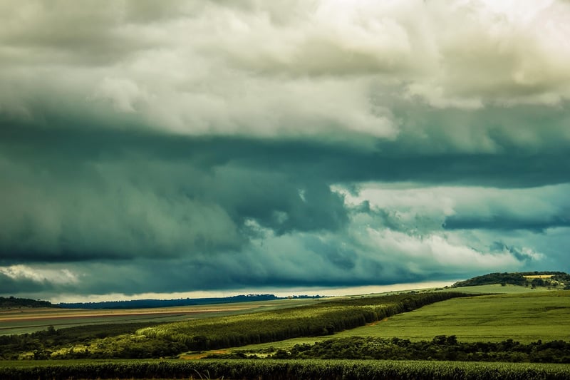 Temporal Integrity Protocols