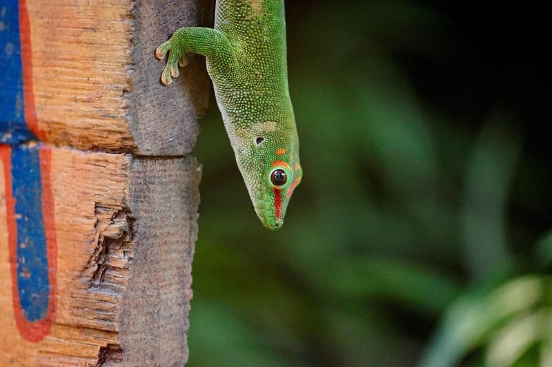 Masoala National Park
